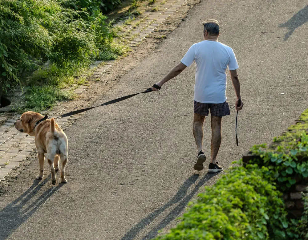 En medelålders man är ute och går med sin hund.